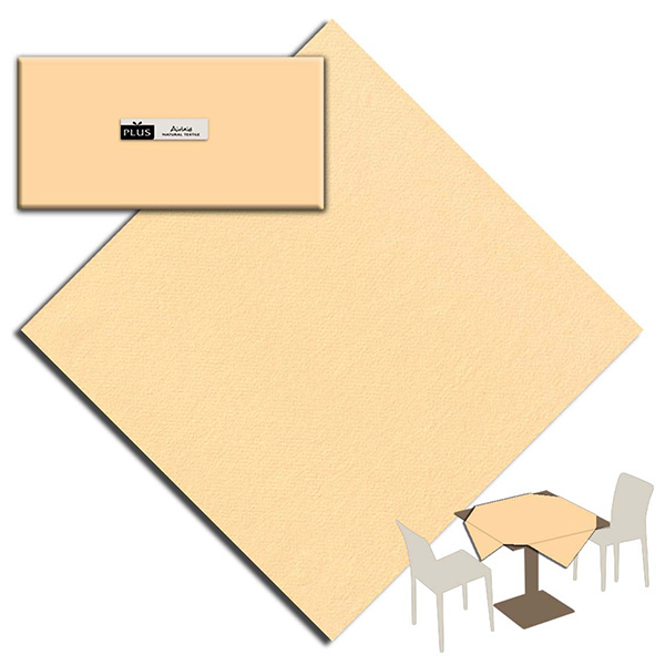 Tovaglia carta a secco plus - immagine 2